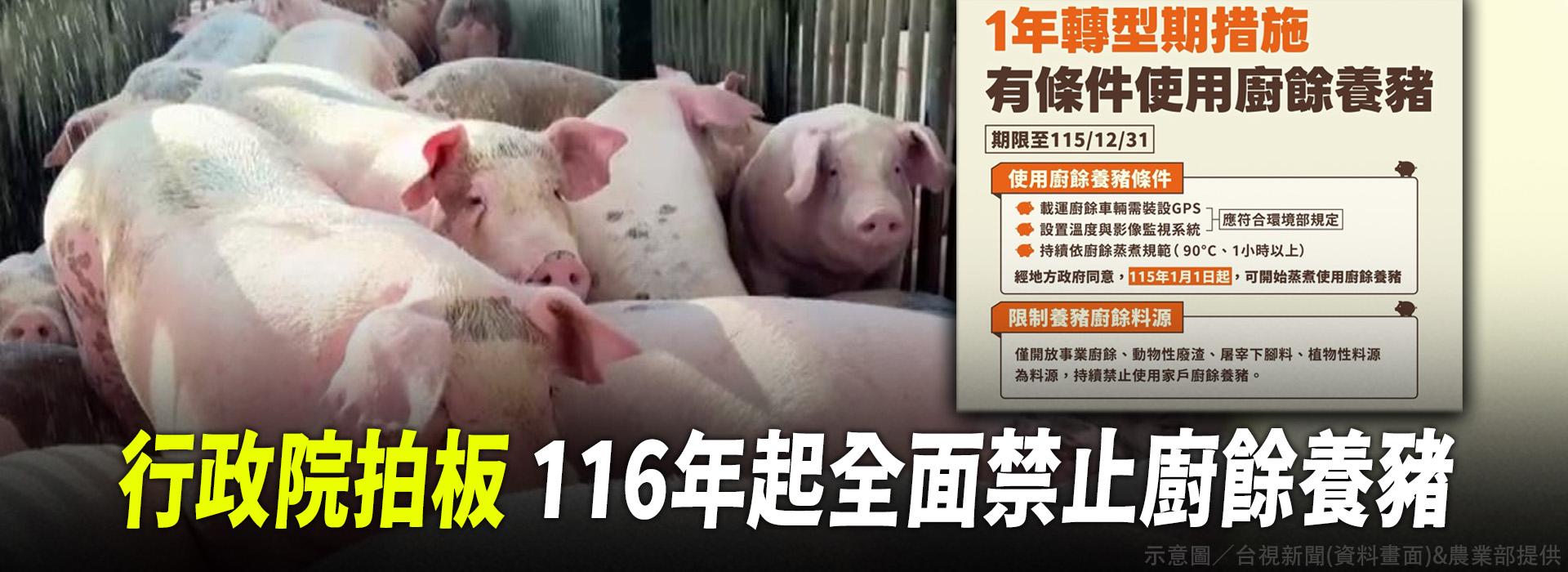 行政院拍板 116年起全面禁止廚餘養豬