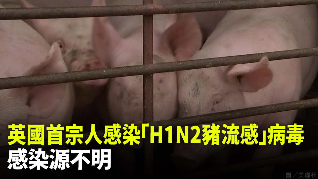 英國首宗人感染「H1N2豬流感」病毒 感染源不明