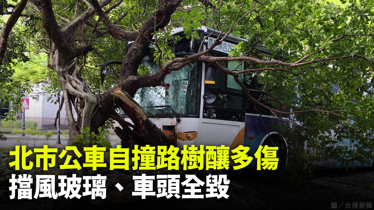 北市公車自撞路樹釀多傷  擋風玻璃、車頭全毀