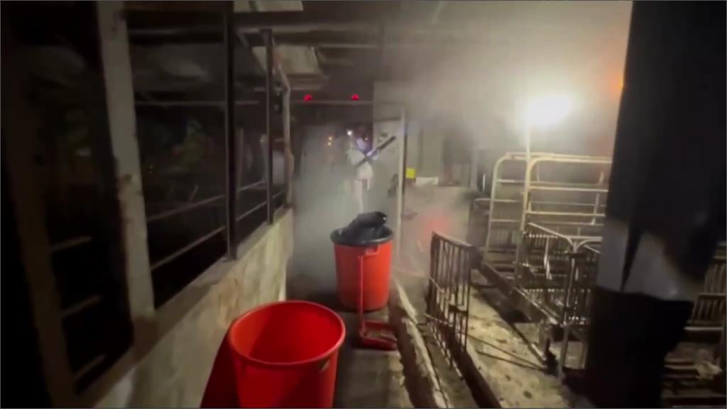 豬農傳舊照蒙混、今年只叫2桶瓦斯 非洲豬瘟疫調指向未落實蒸煮廚餘