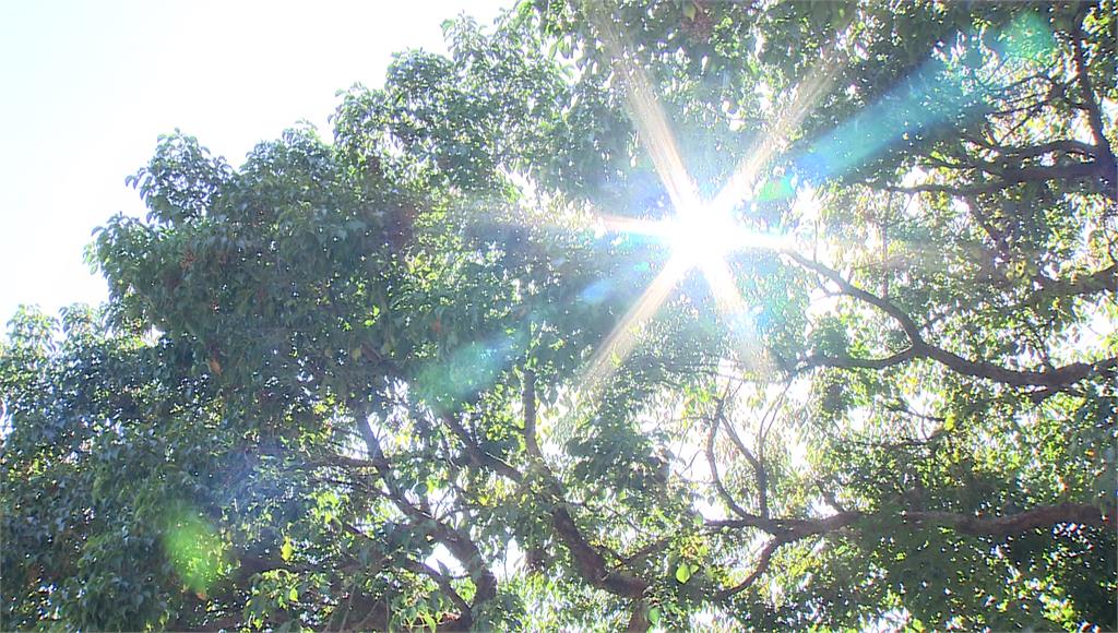 今飆36度高溫！週末防陣雨 專家：美模式估「這天」有熱帶擾動發展
