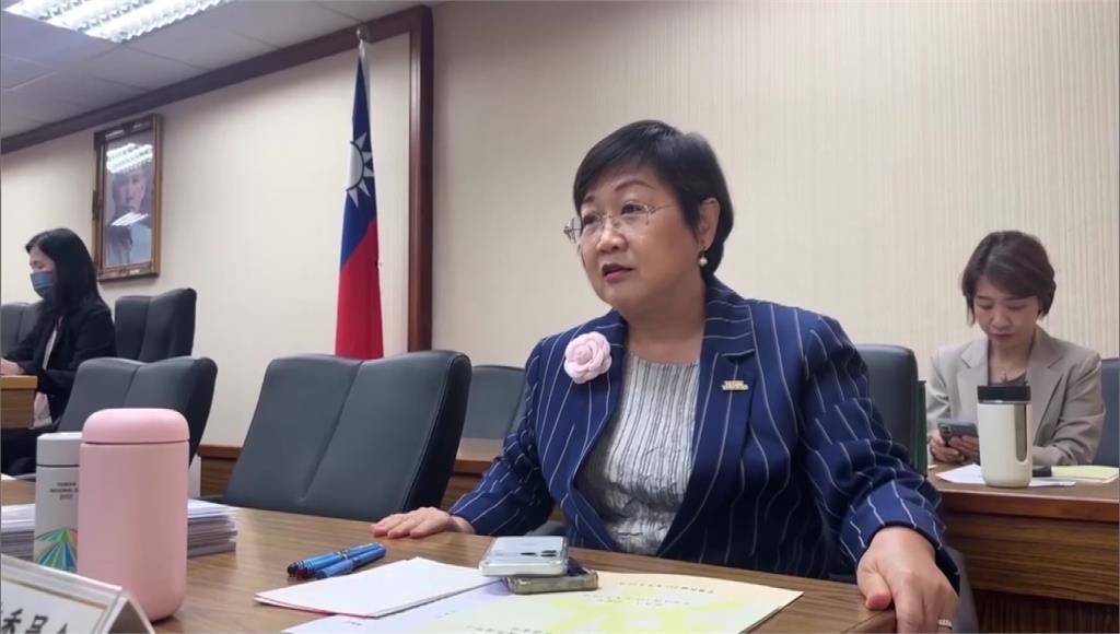 徐佳青助兒登東沙島遭北檢列被告 被問委屈「嘆一口氣」：不再多說