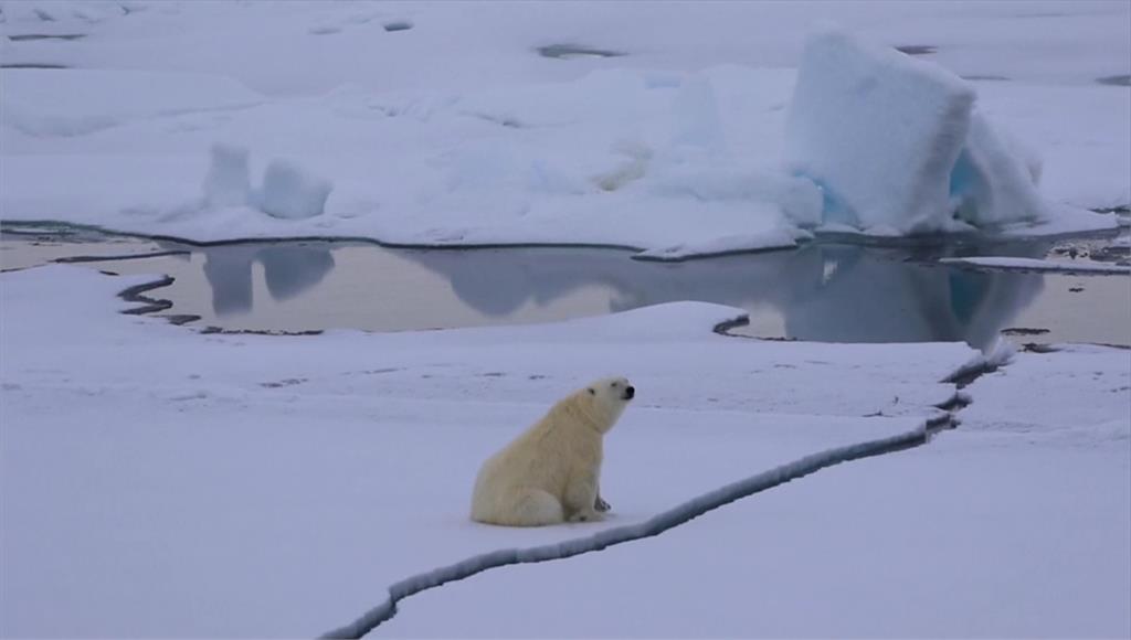 研究指出，最快在2030年代，北極海冰9月短暫消失。圖／路透社、美聯社