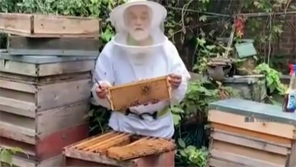 英國皇家養蜂人揭開長久養蜂傳統。圖／翻攝自Youtube