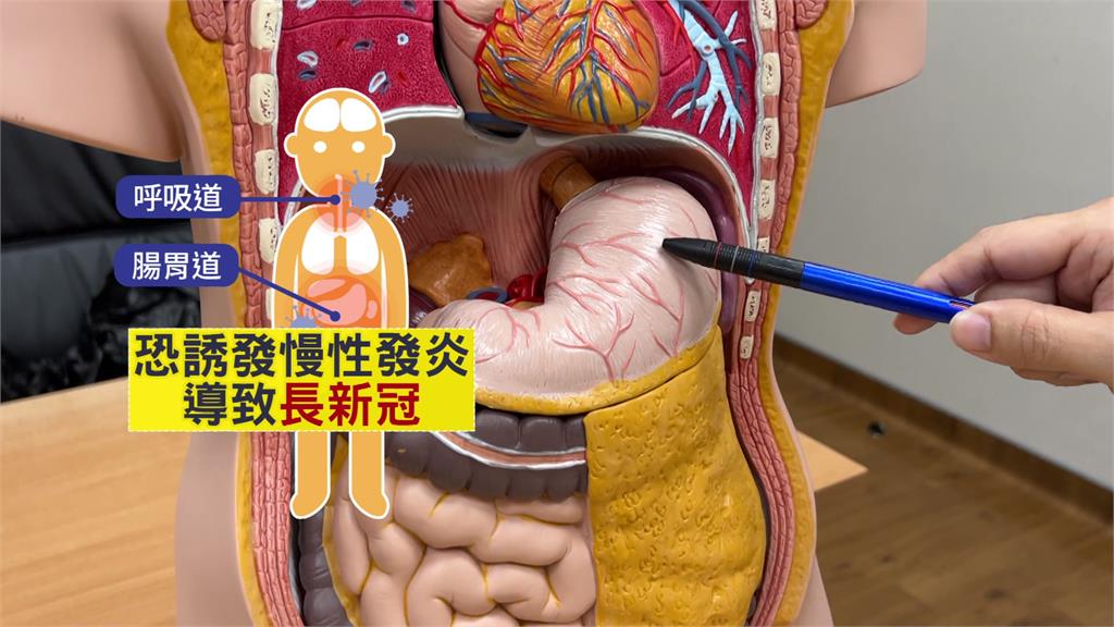 國外最新研究發現，病毒存在腸胃道的時間遠高於呼吸道。圖／台視新聞