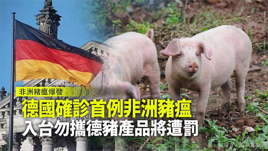 德國爆首例非洲豬瘟，應變中心宣布9/10起不得攜帶德豬產品入境。圖：台視新聞