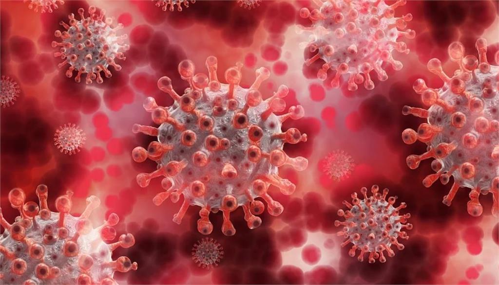 美國科學家近來關注新變種病毒株「R.1」。示意圖 ／翻攝自Pixabay