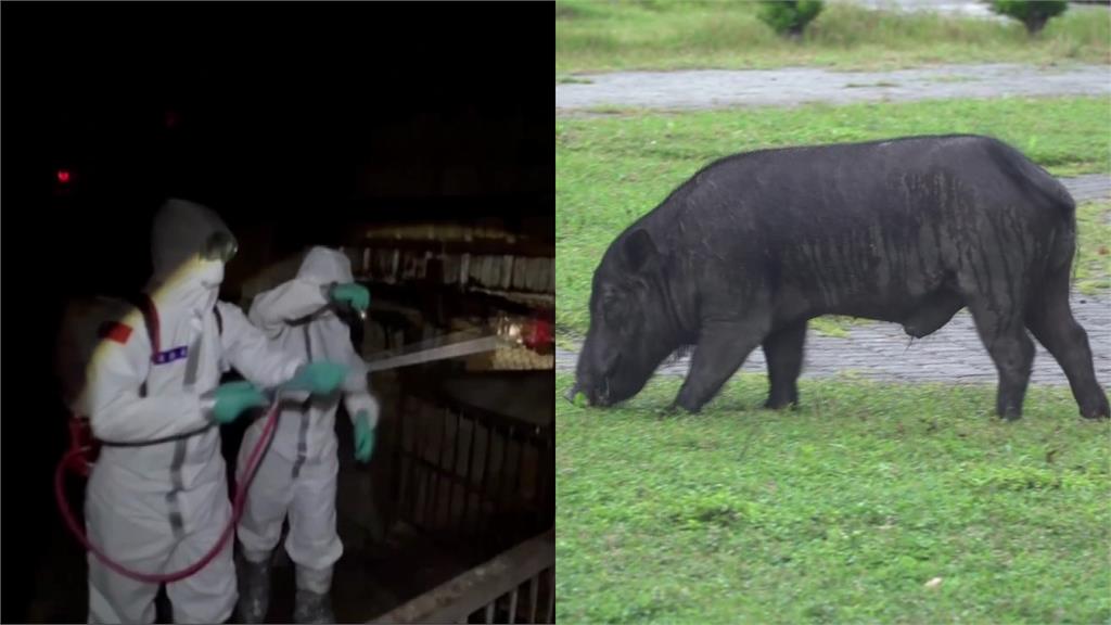 36化學兵群支援梧棲豬農場清消 預計11/3環境再採驗