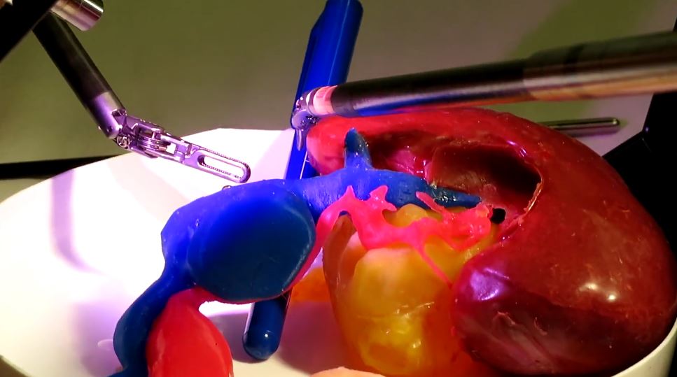 「3D列印器官」神複製！ 成醫執刀練手感利器