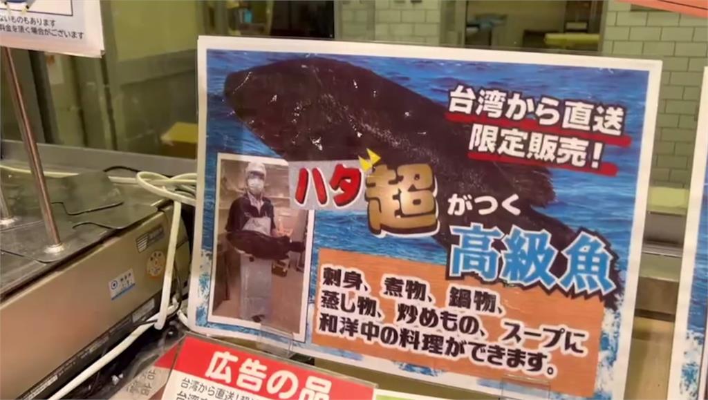 台灣石斑魚進軍日本。圖／台視新聞