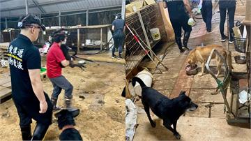 狗園收5萬照護費卻不管！10多隻浪浪飼料旁餓成白...