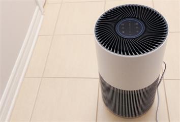 除濕盒滿水「直接倒水槽」錯了！專家示警小孩、寵物...