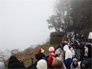 2026阿里山日出印象音樂會 神木下啟動臺灣燈會倒數