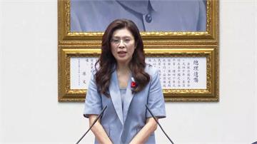 鄭習會四月登場！鄭麗文：國際奉行一中政策、不支持...