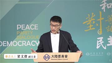 翁曉玲砍陸委會1295萬媒宣費嗆「只剩一張嘴」　...