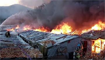 南韓首爾「最後一座貧民窟」遇大火 密集易燃燒毀6...