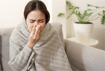 醫激推「家中1物」　有效緩解過敏性鼻炎！ 