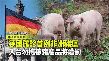 德國確診首例非洲豬瘟 入台勿攜德豬產品將遭罰