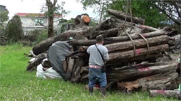 宜蘭兄弟開貨車撿漂流木 警查扣近2公噸送辦