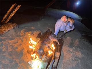海漂豬屍驗出「非洲豬瘟」　即日起豬肉產品禁輸台一...