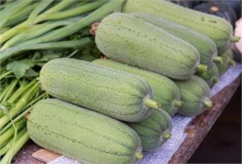 梅雨季過夏天正式展開！天熱火氣大「這些食物降火」...