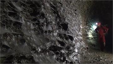 全球最大蜘蛛網曝光 逾11萬隻蜘蛛共同編織