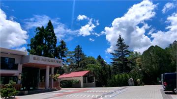 楊柳直撲台灣！ 福壽山、武陵農場今午後預警休園