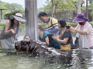 壽山動物園暑假大放送！ 全國12歲以下免費入園