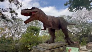 4口之家玩透透要5千！台版侏儸紀公園遭質疑太貴 ...