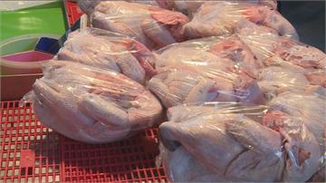 受禽流感影響！　國產白肉雞隻價格創新高