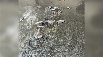 苗栗一處陸橋排水孔上驚見「成群吳郭魚」 網友：難...