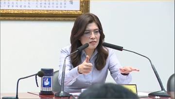 遭爆企圖用欺瞞手段會晤美議員！鄭麗文：綠營用卑劣...