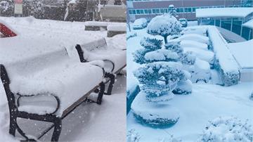 南韓急凍暴雪！濟州島、光州積雪破17年紀錄 民眾...