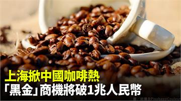 上海掀中國咖啡熱 「黑金」商機將破1兆人民幣