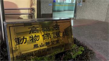 高雄動保前處長涉接受「不當招待」、護航寵物業者 ...
