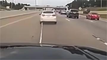 如蜘蛛人！美國警車發射「彈簧網」 攔截逃逸車輛