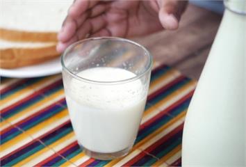牛奶該喝「全脂or低脂」好？營養師曝答案 很多人...