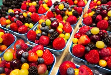 莓果類食物很營養！尤其是這1種 助延緩大腦退化