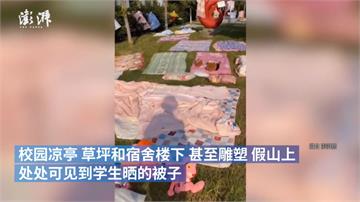 中國開學奇景！學生搶曬棉被 寢室長鳥巢、辣椒樹