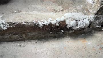 疑是地上霜？！ 鹿港老街古宅驚見白色結晶