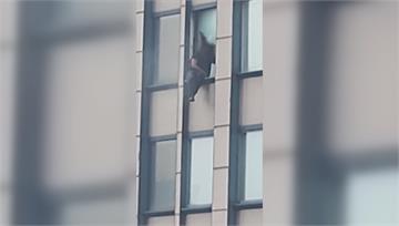詐騙犯坐31樓窗台以死拒捕 「蜘蛛人」警察垂吊一...