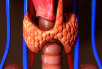 甲狀腺亢進失控恐致『甲狀腺風暴』！醫師教你正確控...