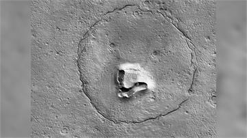火星上有生物？ NASA捕捉地表超萌「大灰熊」