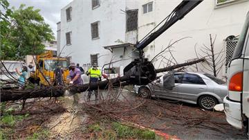 璨樹颱風挾強勁風雨 吹斷10米大樹插入車內