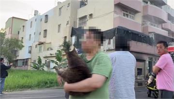 透天民宅火警「逾40隻貓狗受困」 消防鋸門緊急救...