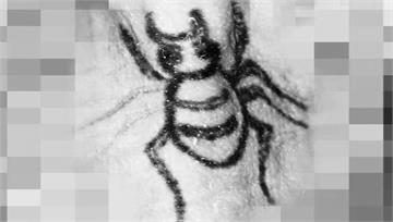 新莊箱屍案死者「蜘蛛刺青」公開盼有人指認 資深刑...