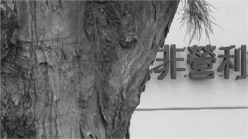 高雄林園某幼兒園爆不當管教！孩童被逼下跪道歉 教...