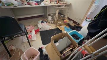 房東不續租！女房客暴怒撬壞水龍頭、餓死寵物兔