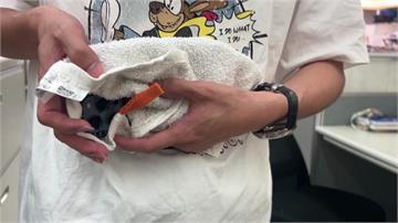 皇池偷拍狼是高學歷媒體人！曾任公視節目主管 作案...