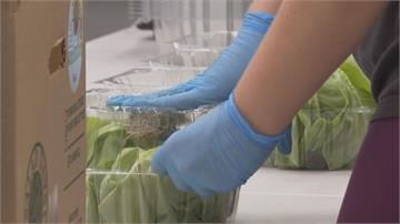 美爆環孢子蟲疫情 經生菜水果傳播